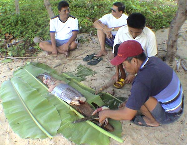 bc004.jpg